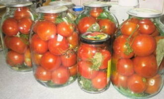 Pomidory na zimę z octem - 10 przepisów na marynowane pomidory krok po kroku