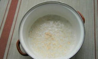 Płatki owsiane z mlekiem - 10 przepisów na gotowanie płatków owsianych krok po kroku