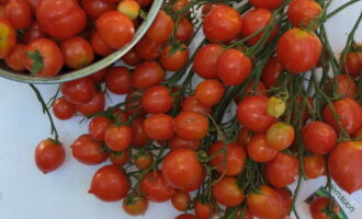 Smażone pomidory na zimę - 5 najsmaczniejszych przepisów krok po kroku