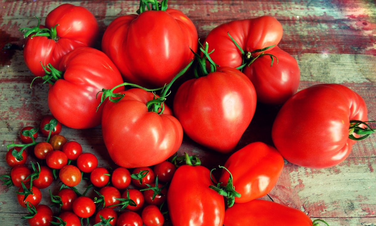 Najlepszym źródłem likopenu jest pomidor