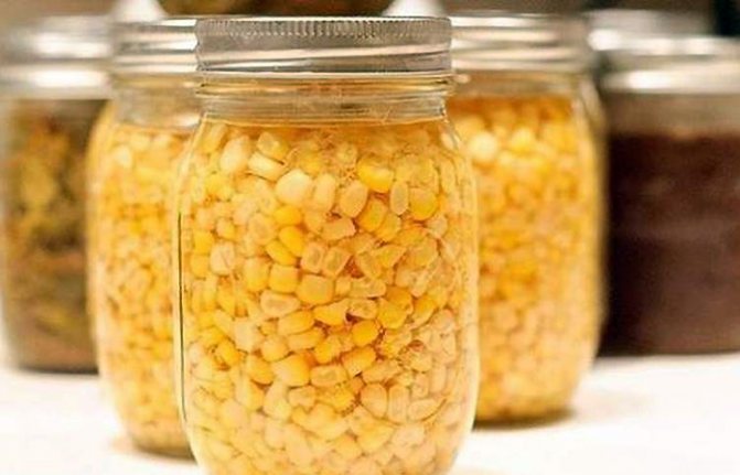 Jak zachować kukurydzę w domu na zimę?