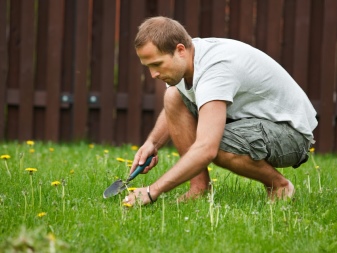Jak pozbyć się chwastów z trawnika?
