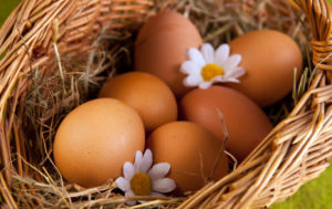 Czy wegetarianie mogą jeść jajka?
