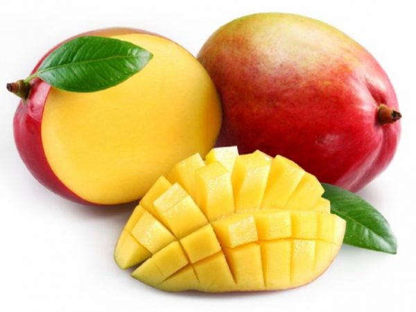 Zawartość kalorii w świeżym mango na 100 gramów