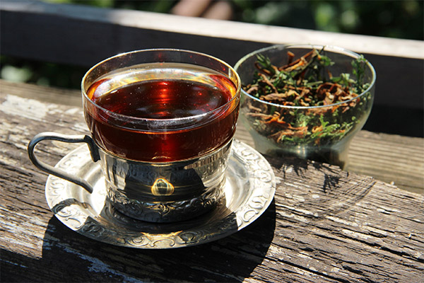 Na jakie choroby pomaga herbata z marchwi?