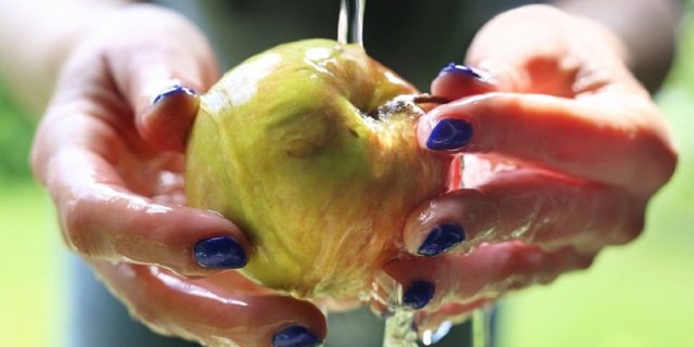 Jabłka na zapalenie żołądka: czy można jeść, wpływ na chorobę?