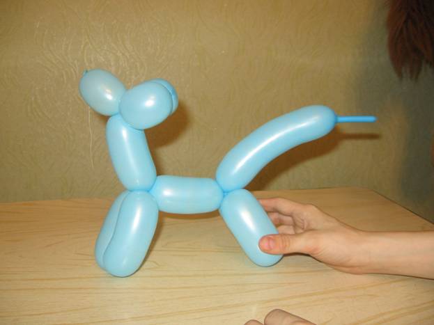 Jak zrobić balonowego psa. Krok 10
