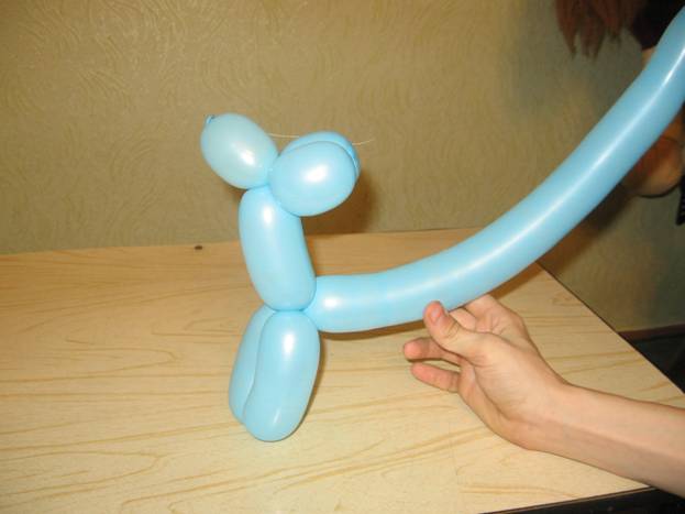 Jak zrobić balonowego psa. Krok 7