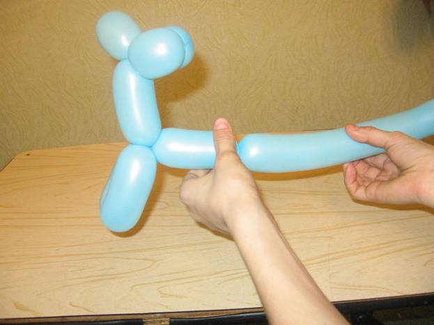 Jak zrobić balonowego psa. Krok 8
