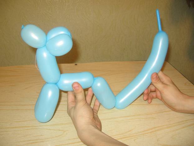 Jak zrobić balonowego psa. Krok 9