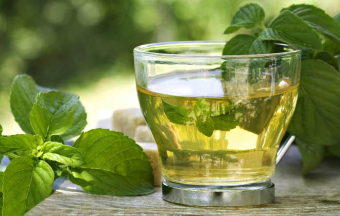 Herbata bazyliowa: właściwości lecznicze i przeciwwskazania, zasady warzenia