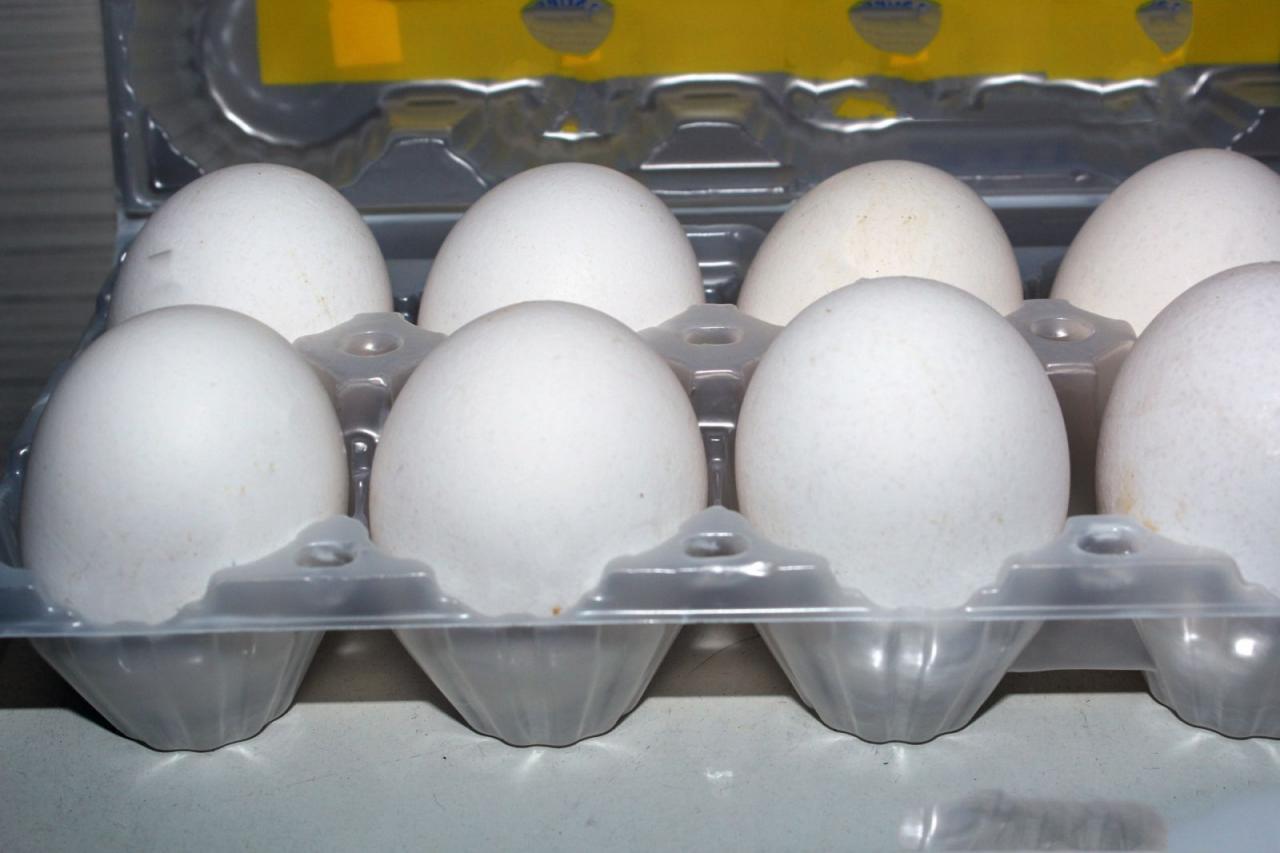 Składanie jajek w pojemniku